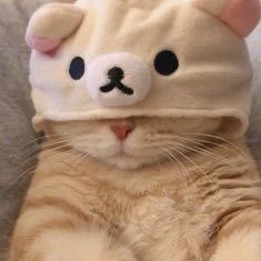 Slyさんのプロフィール画像