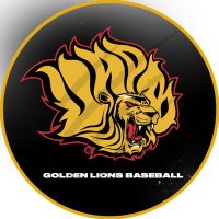 ππ¨π₯πππ§ ππ’π¨π§π¬ πππ¬ππππ₯π₯ βΎοΈ (@uapblionsbsb) 's Twitter Profile