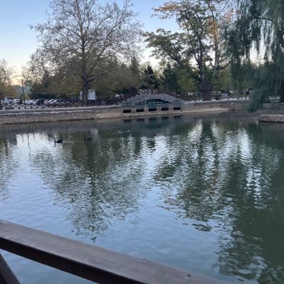 hamza9352's profile picture. 