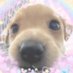 ✧.* Marc 𐂯 (he/him🏳️⚧️) (@justonesillyguy) Twitter profile photo ✧.* Marc 𐂯 (he/him🏳️⚧️) (@justonesillyguy) Twitter profile photo