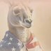 The Ozmerican 🇦🇺 🇺🇸 (@theozmerican) Twitter profile photo The Ozmerican 🇦🇺 🇺🇸 (@theozmerican) Twitter profile photo