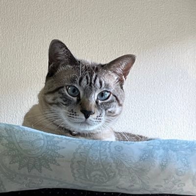 kitakoさんのプロフィール画像