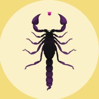 Morro 🦂 (@purplenovaflare) 's Twitter Profile