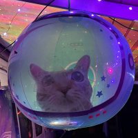 Disgusted in Denver (@disgusted5280) 's Twitter Profile