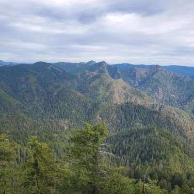 kelleal85's profile picture. 