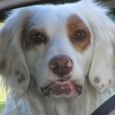 Mike Whiting - @mikewhi - Twitter