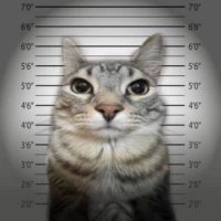 sztikk (@sztikkk) 's Twitter Profile