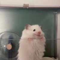 Daniel (@danielhe91) 's Twitter Profile Photo Daniel (@danielhe91) 's Twitter Profile Photo