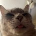 AK (@zazarathustra) Twitter profile photo AK (@zazarathustra) Twitter profile photo