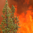SoCalFirePhoto (@socalfirephoto) 's Twitter Profile Photo
