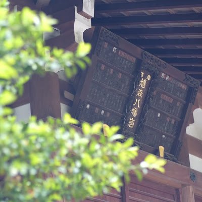 【!!前アカウント凍結のため、新アカウント設立しました!!】
将棋のタイトル戦を毎日一局youtubeに投稿しています。
コメント、高評価、チャンネル登録いただけますと励みになります!(棋譜の利用は、主催社及び連盟へ許諾済み)