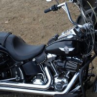 AngryNevadan (@nevadanangry) 's Twitter Profile