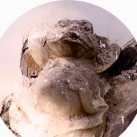 𓅻 寝た子を起こすな🥒 (@room1934) 's Twitter Profile Photo 𓅻 寝た子を起こすな🥒 (@room1934) 's Twitter Profile Photo