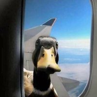 Barry WYSIWYG ๐ด๓ ง๓ ข๓ ฅ๓ ฎ๓ ง๓ ฟ๐ฒ๐ผ๐ณ๐ฟ๐ฆ๐บ๐ต๐ญ (@wysiwyg_2018) 's Twitter Profile