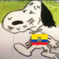 Si Villamil es el Cerebro LDU tiene Down (@tuiteandowbadas) 's Twitter Profile