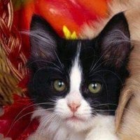 Elizabeth (@mainzina) 's Twitter Profile Photo Elizabeth (@mainzina) 's Twitter Profile Photo