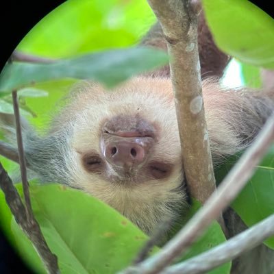 abbubs's profile picture. Admirer of Free Speech absolutist’s. Journalist. Active volunteer for children