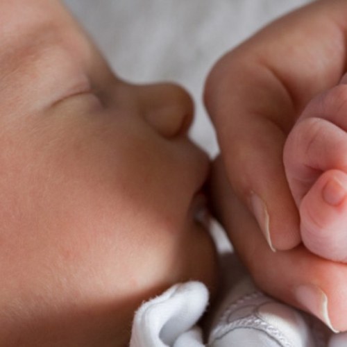 MelPuckttBenson's profile picture. I'm In My Mommys Tummy @SamLuvs_Ham .