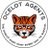 ocelotagents's profile image