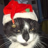 Pachito (@soc1204) 's Twitter Profile Photo