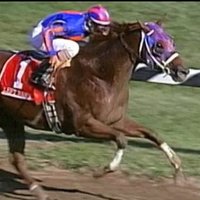 Canonero Kid (@canonerokid) 's Twitter Profile