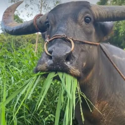 blockflyer's profile picture. Think Big, Act Small