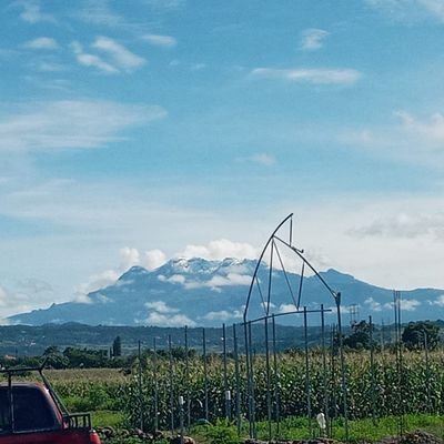 Jossher22's profile picture. 