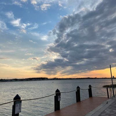 DefytheHive's profile picture. 