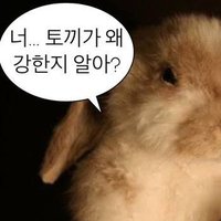 요루ヨル (@s2__gi7__s2) 's Twitter Profile Photo