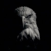 Eng. Mohammed ِ☠️ (@ll8lie) Twitter profile photo