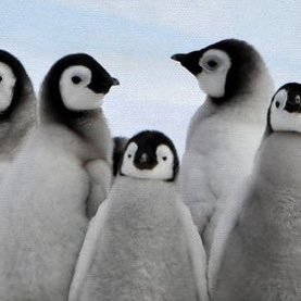 AcquittedPoems's profile picture. 