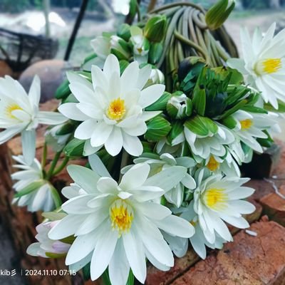 Munshi151427's profile picture. 