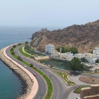 eliza41676's profile picture. 