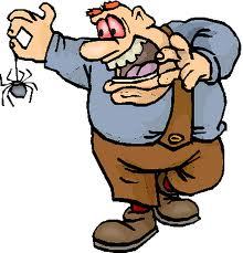 We tweet the weirdest phobia's across the world!