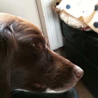 clean2gleam's profile picture. To soft for my own good sometimes