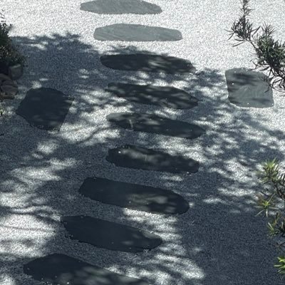 Kikzzzz's profile picture. 保持有劲儿