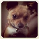 Joanne Morales - @jcarvalho59 - Twitter