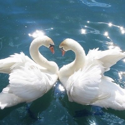 𝓲𝓯 𝓲 𝔀𝓮𝓻𝓮 𝓪 𝓻𝓮𝓪𝓵 𝓶𝓪𝓷 𝓲 𝔀𝓸𝓾𝓵𝓭 𝓫𝓮 𝓪𝓫𝓵𝓮 𝓽𝓸 𝓫𝓻𝓮𝓪𝓴 𝓽𝓱𝓮 𝓷𝓮𝓬𝓴 𝓸𝓯 𝓪 𝓼𝓾𝓯𝓯𝓮𝓻𝓲𝓷𝓰 𝓫𝓲𝓻𝓭 out now 🦢