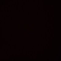 Daniela C. (@cisneros0318) 's Twitter Profile