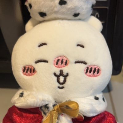 まるぽよ (@maru_poyon) / Posts / X