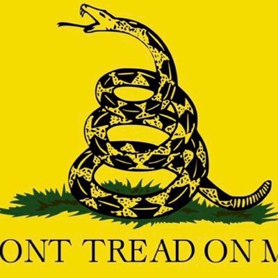 God! Family! Corps!🇺🇸USMC Veteran🇺🇸America First🇺🇸1A/2A🇺🇸MAGA🇺🇸Protect The Border🇺🇸Support LEO and Military🇺🇸🚫❄️🐑🚫Woke Libturds🚫DM