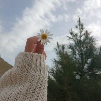 اليف⚘𓂆 (@eliif_ff) 's Twitter Profile
