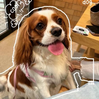 dayngwhoi's profile picture. 