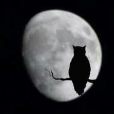 chairmanofthe12's profile picture. Against bureaucracy, groupthink, and mediocrity, if you want to label my moderate fair thoughts as far right I’ll wear that badge.🏴󠁧󠁢󠁥󠁮󠁧󠁿🇬🇧