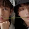haeitsrenjun's profile picture. I'm just here for haechan and renjun :)
