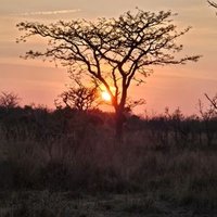 Belinda cole (@lyndapa03794763) 's Twitter Profile Photo