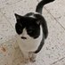 Metin7647 (@metin764721) Twitter profile photo Metin7647 (@metin764721) Twitter profile photo