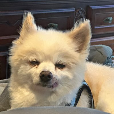 jb0908's profile picture. 