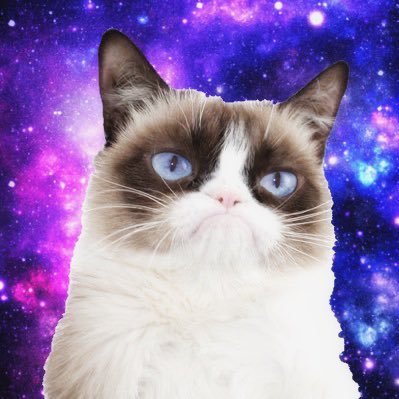 20🎂 / 5🍼 holland lop 🐰 #1 GRUMPY CAT SUPERFAN OF THE WORLD ^_^ @scrap_puppy is my carer 🎀 DEFENDER OF ALL BUGS 🐞🐛🐜🦟🪲🪳🕷️ npd bpd bp1 cptsd audhd