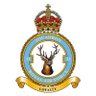 33SqnRAF's profile picture. X  page for 33 Squadron Royal Air Force now in temporary retirement #Loyalty